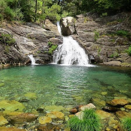 Serra De Arga Mountain House Montaria Екстериор снимка