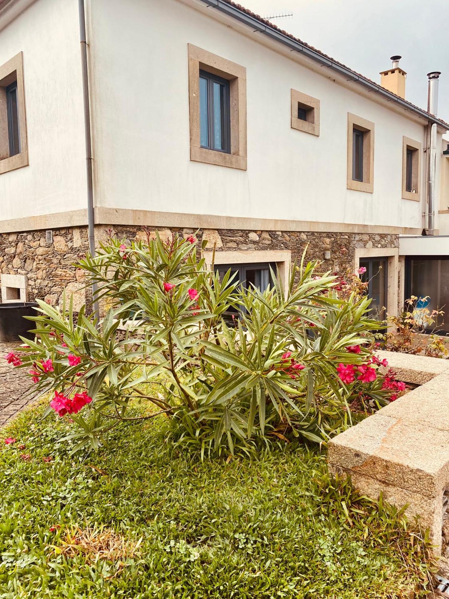 Serra De Arga Mountain House Montaria Екстериор снимка
